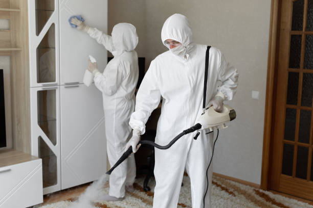 Best Office Mold Removal Services  in Mertzon, TX